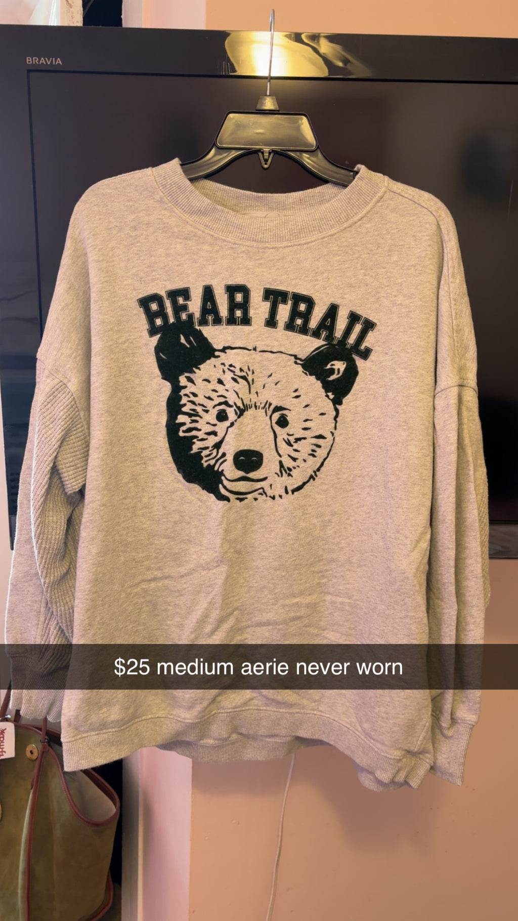 Aerie Crewneck Sweatshirt Med Never Worn